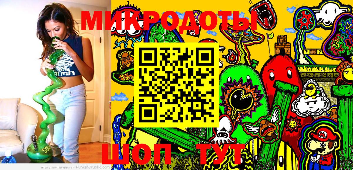 Псилоцибиновые грибы Psilocybe Касимов